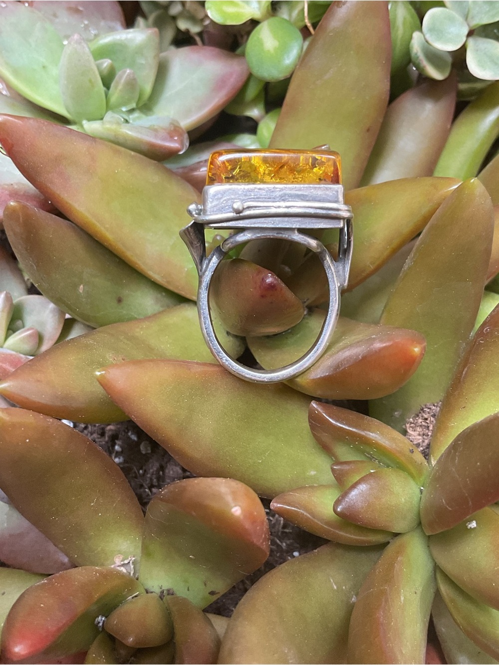 LARGE AMBER RING - Picture 9 of 10